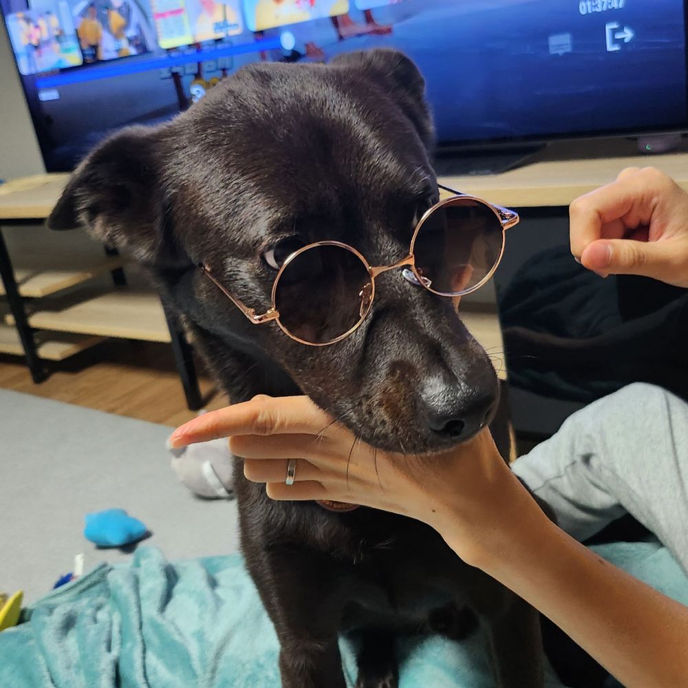 머루네