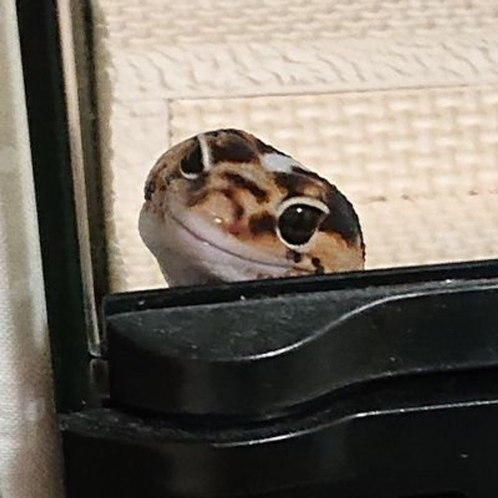 クルセ