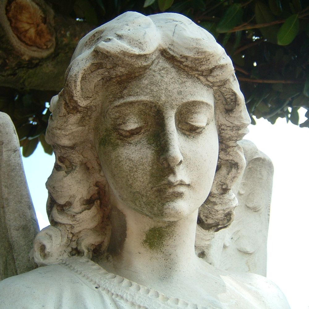 Southern Spirit Guide