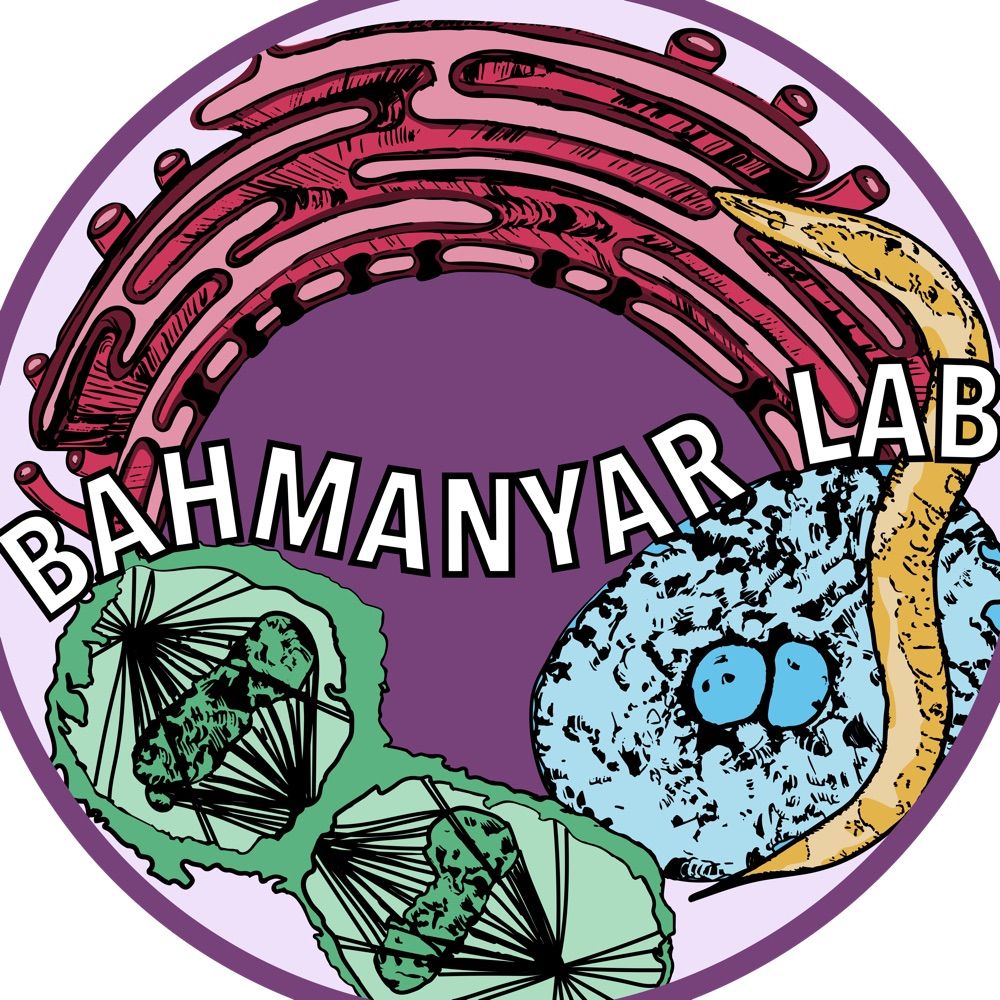Bahmanyar Lab