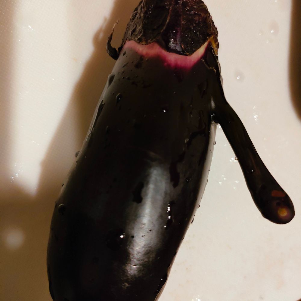 やしろ