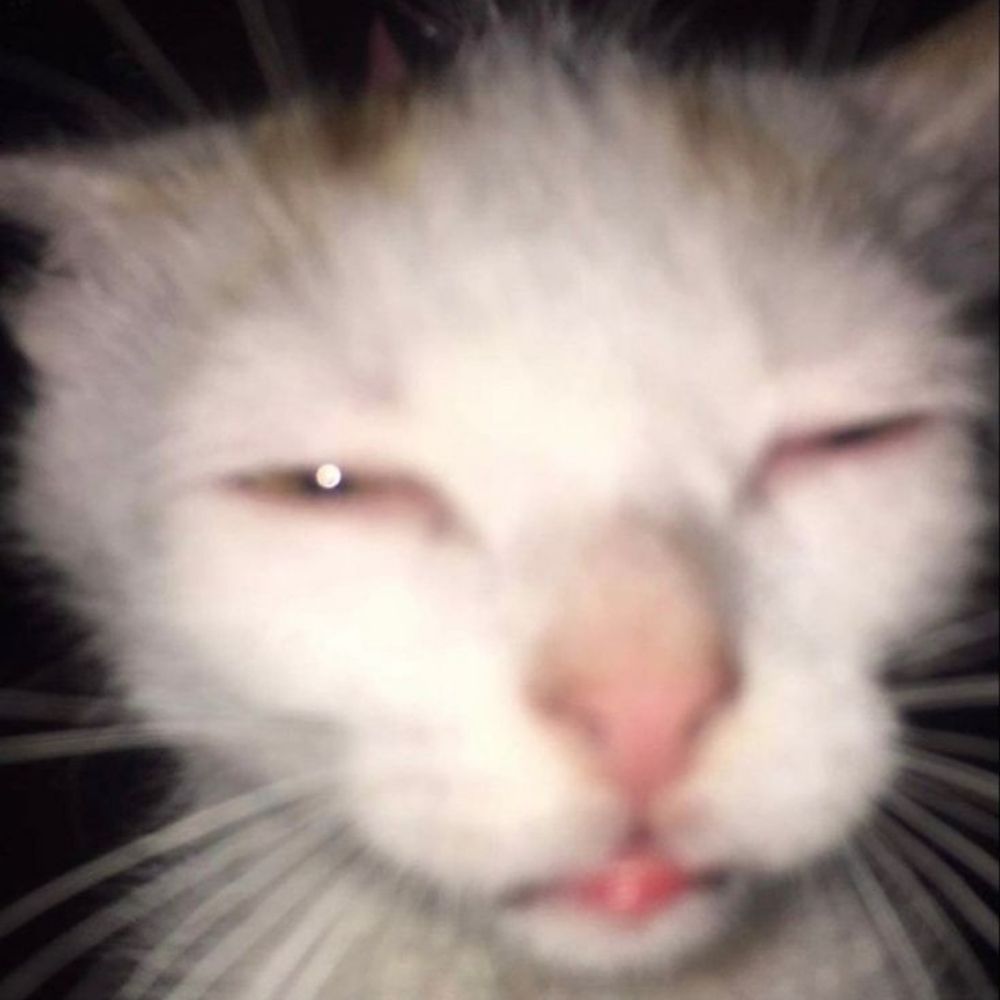 sam