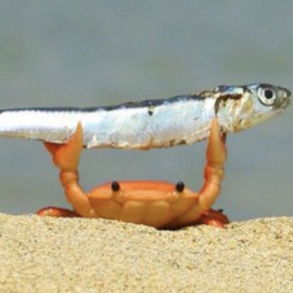 딩알