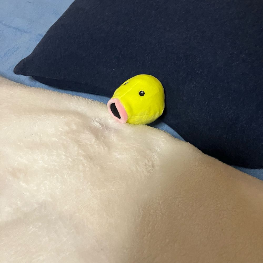 さわさ