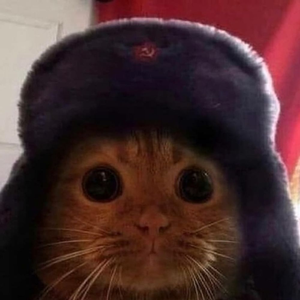 nosekefik