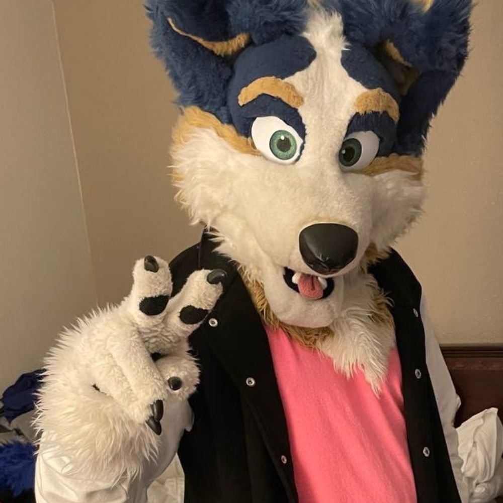 Phily Collie Thing