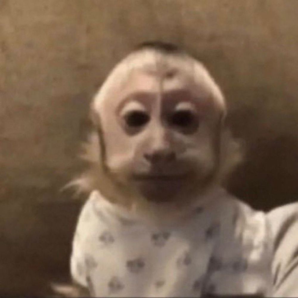 Papai ama papai cuida 