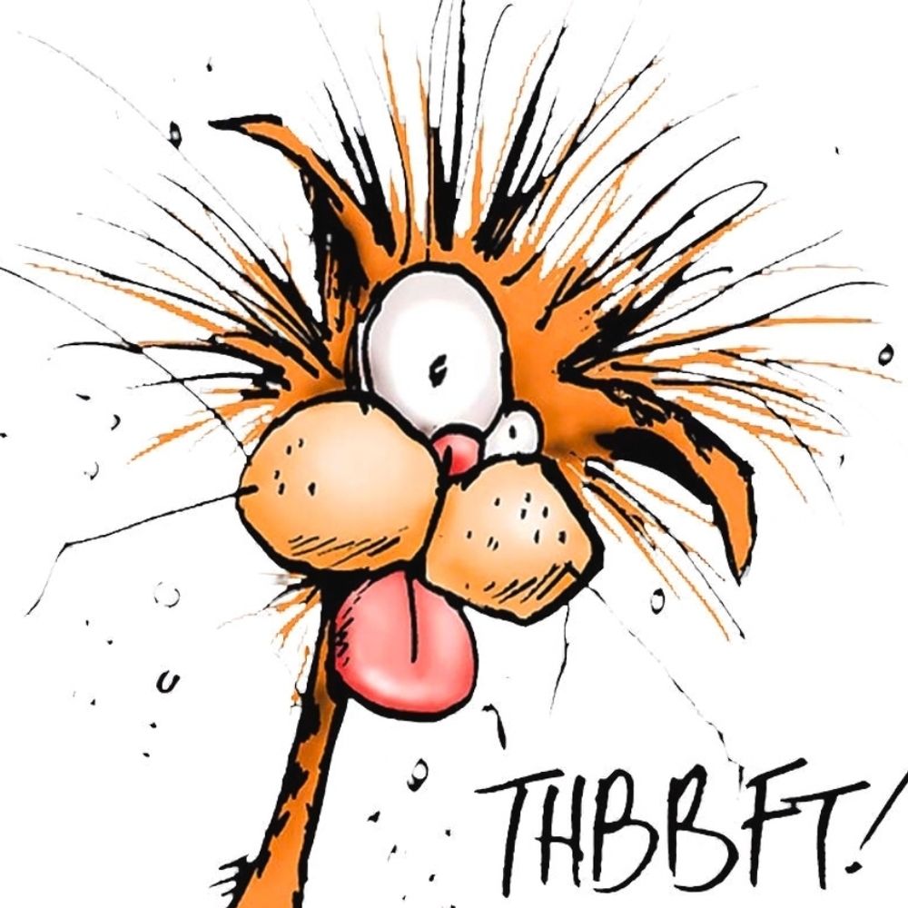 bdoe.bsky.social profile picture