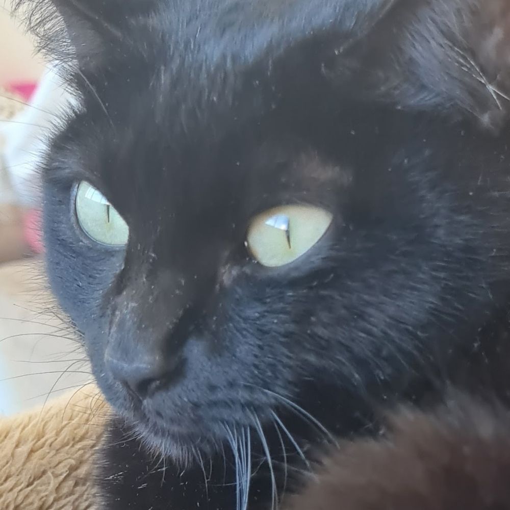 Pedro.