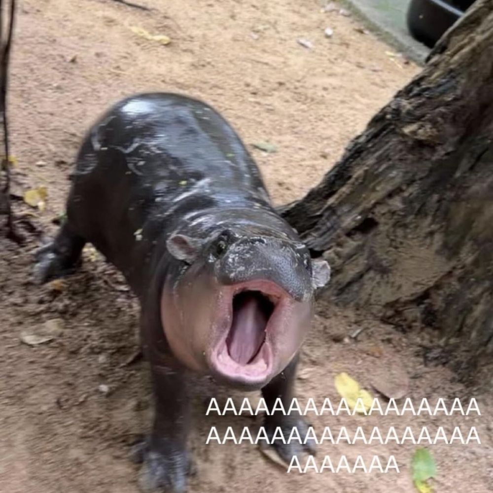 Piw