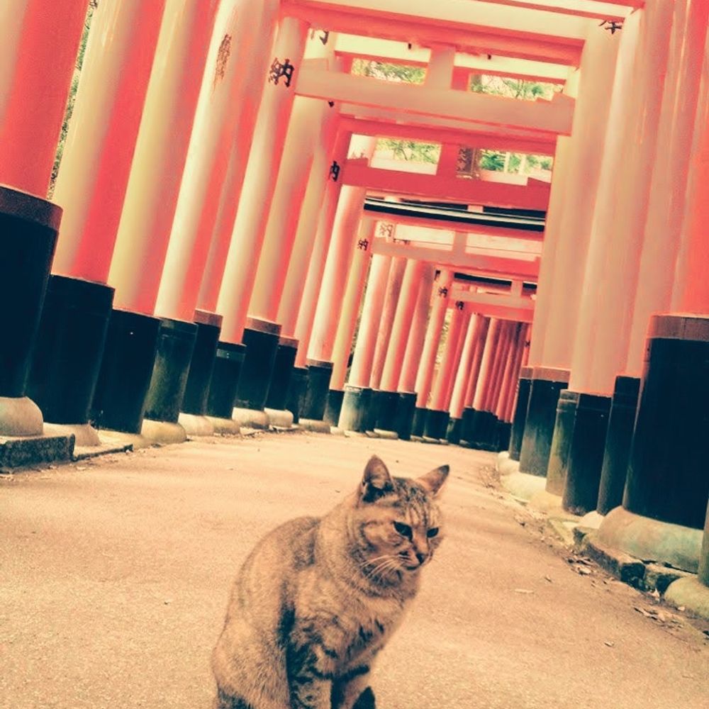 あを