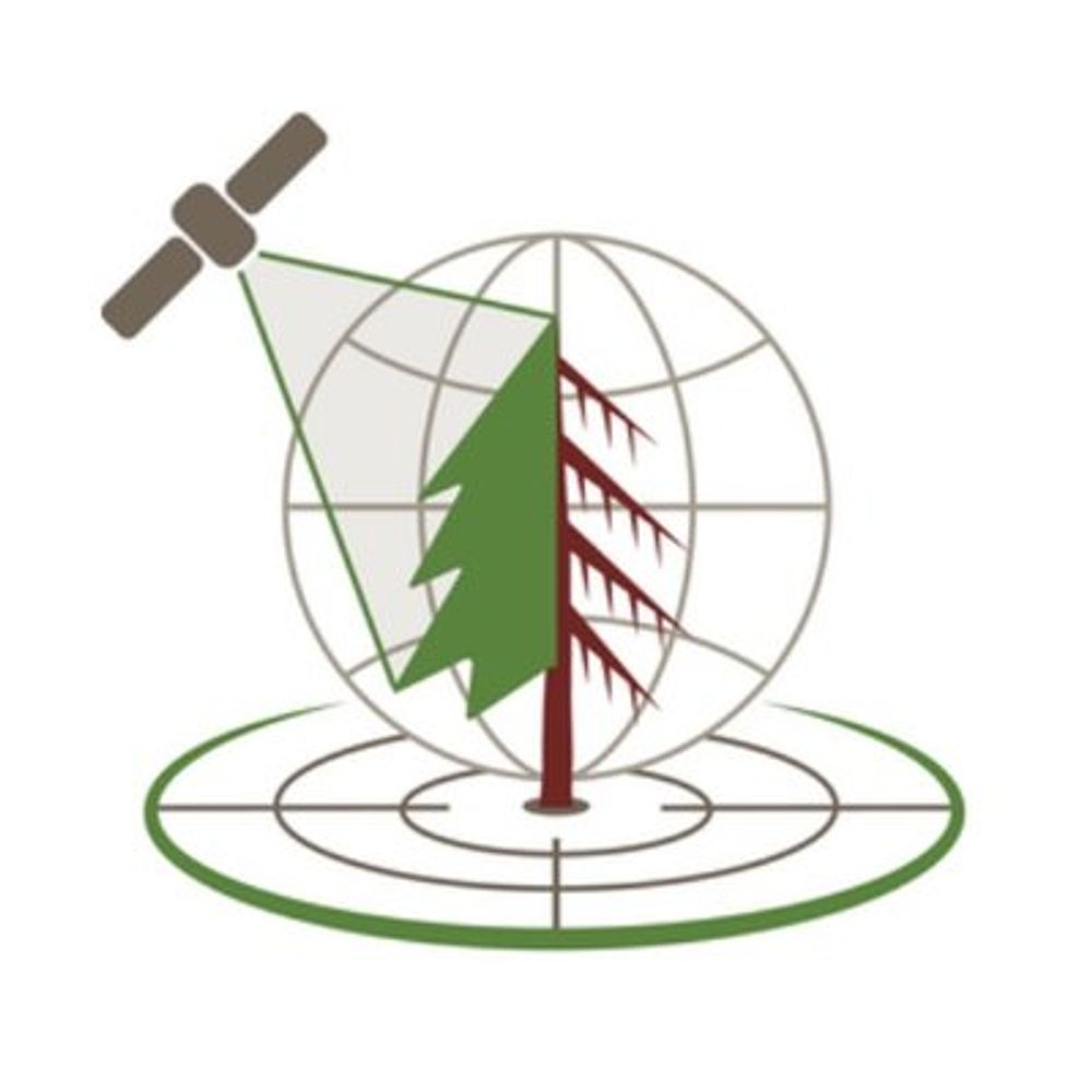 Profile picture treemortality.bsky.social