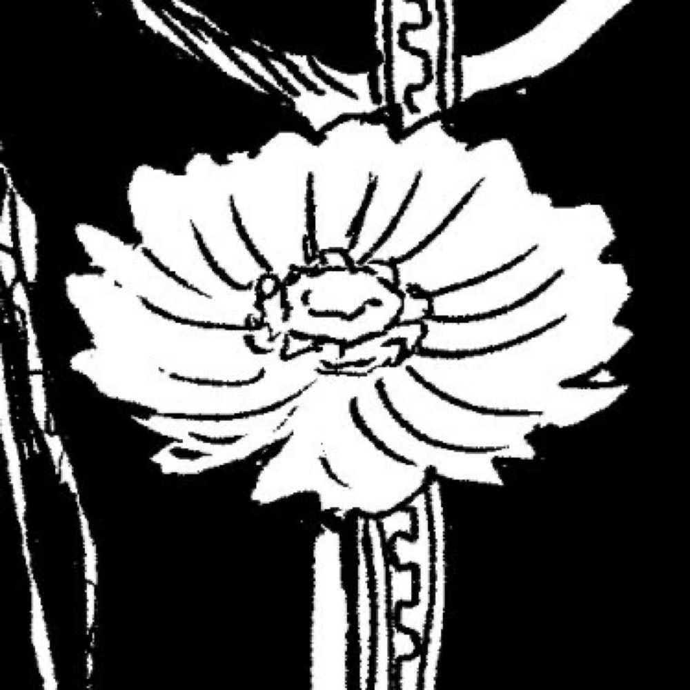 さわの将