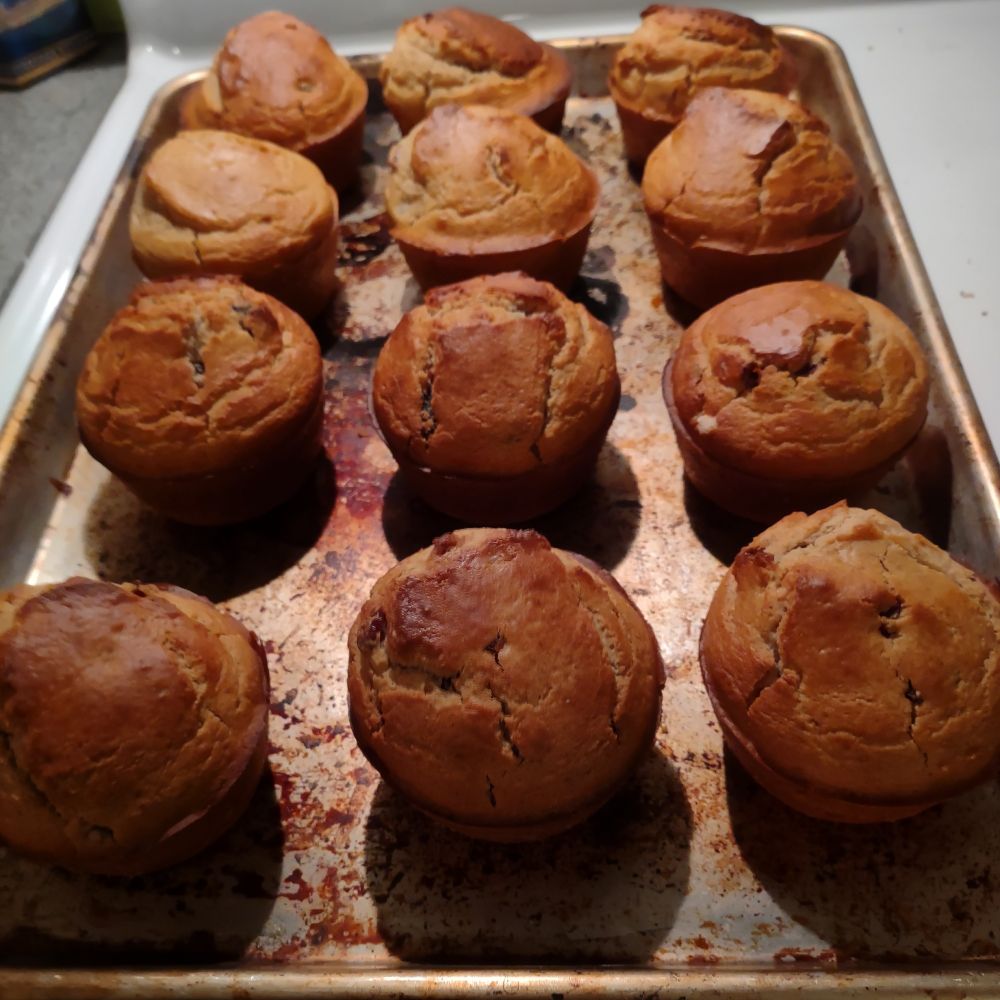 Coastal Critter Muffin Baker