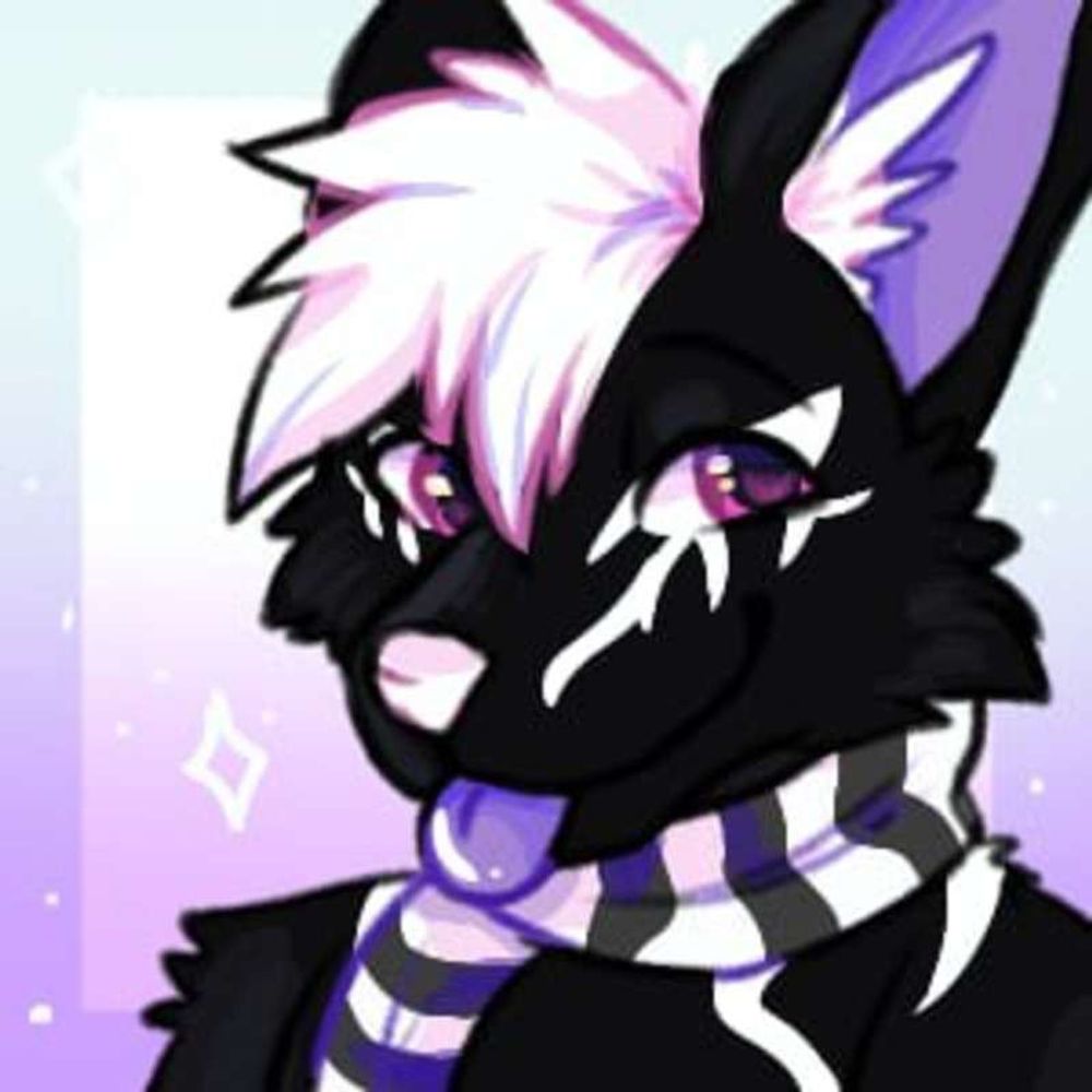 MoriPaws
