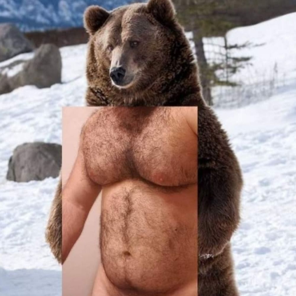 Greybeard