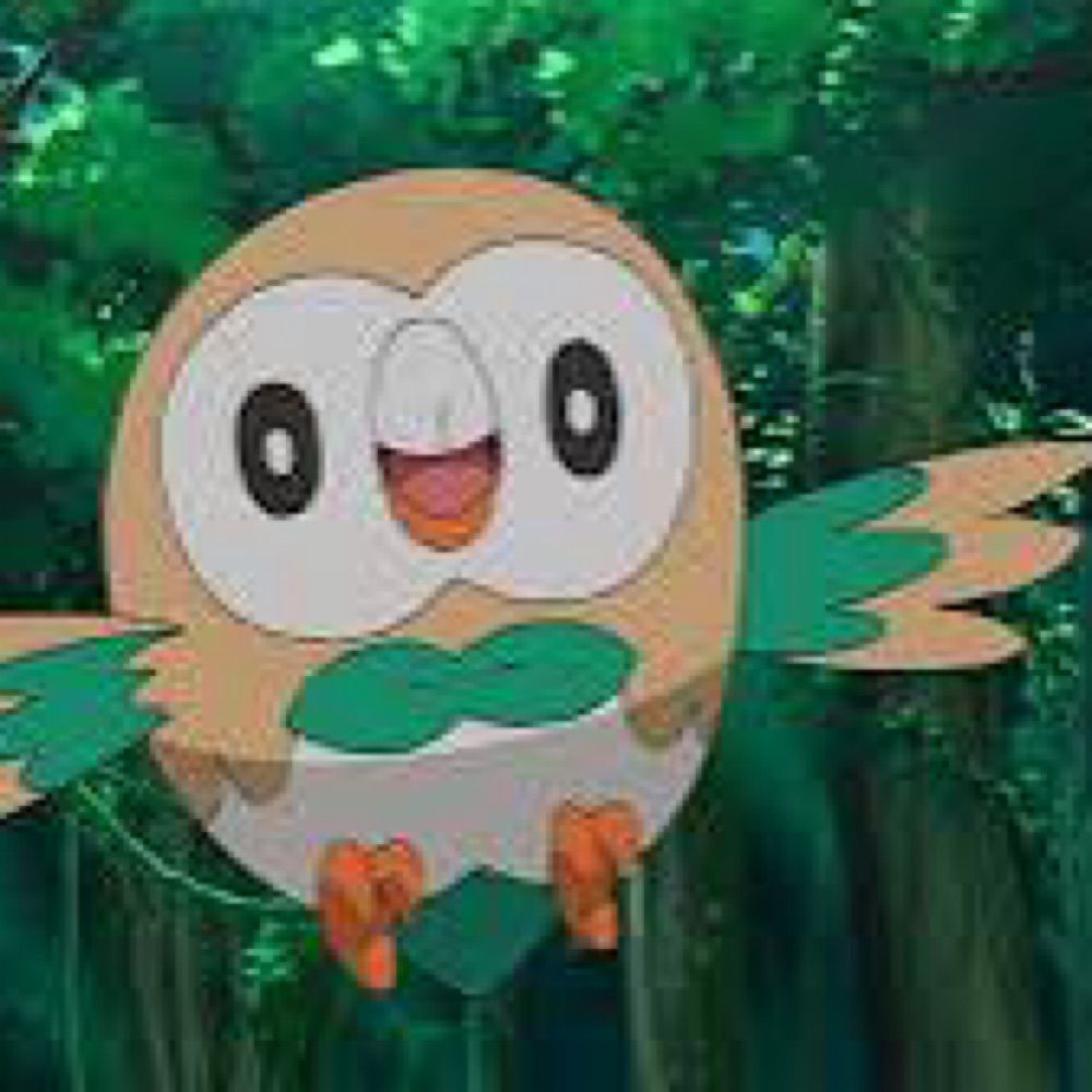 Jay