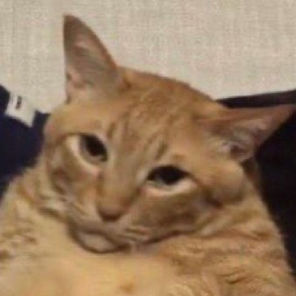 を
