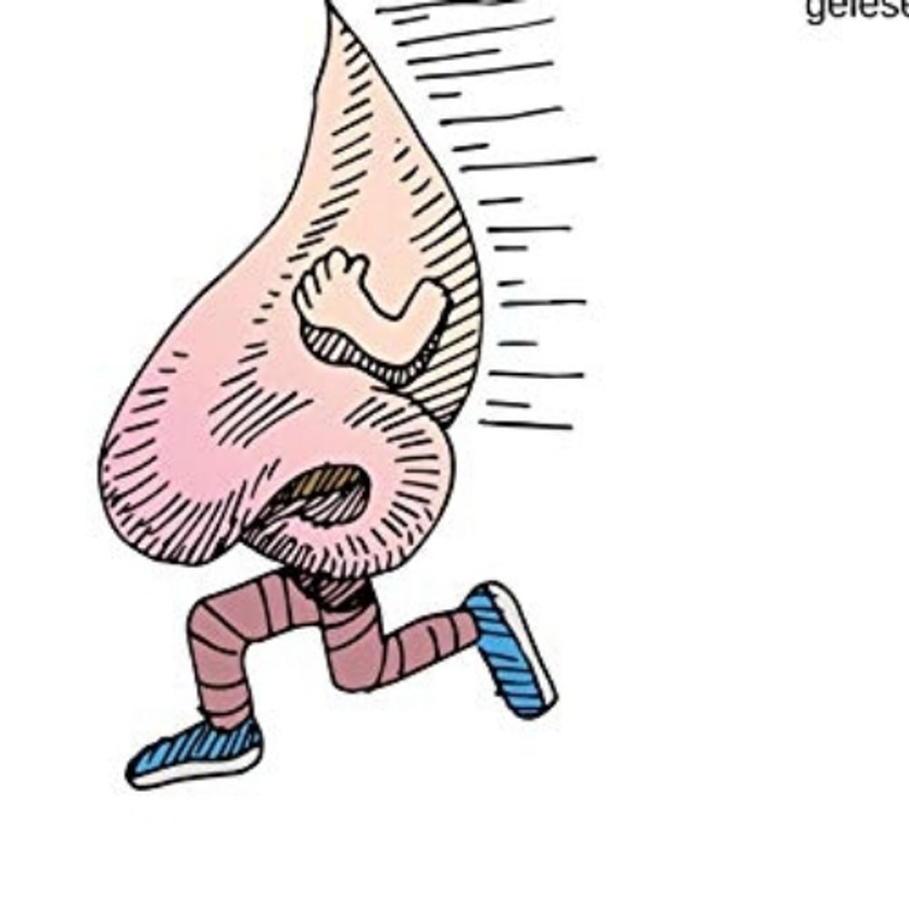 Histomaticus