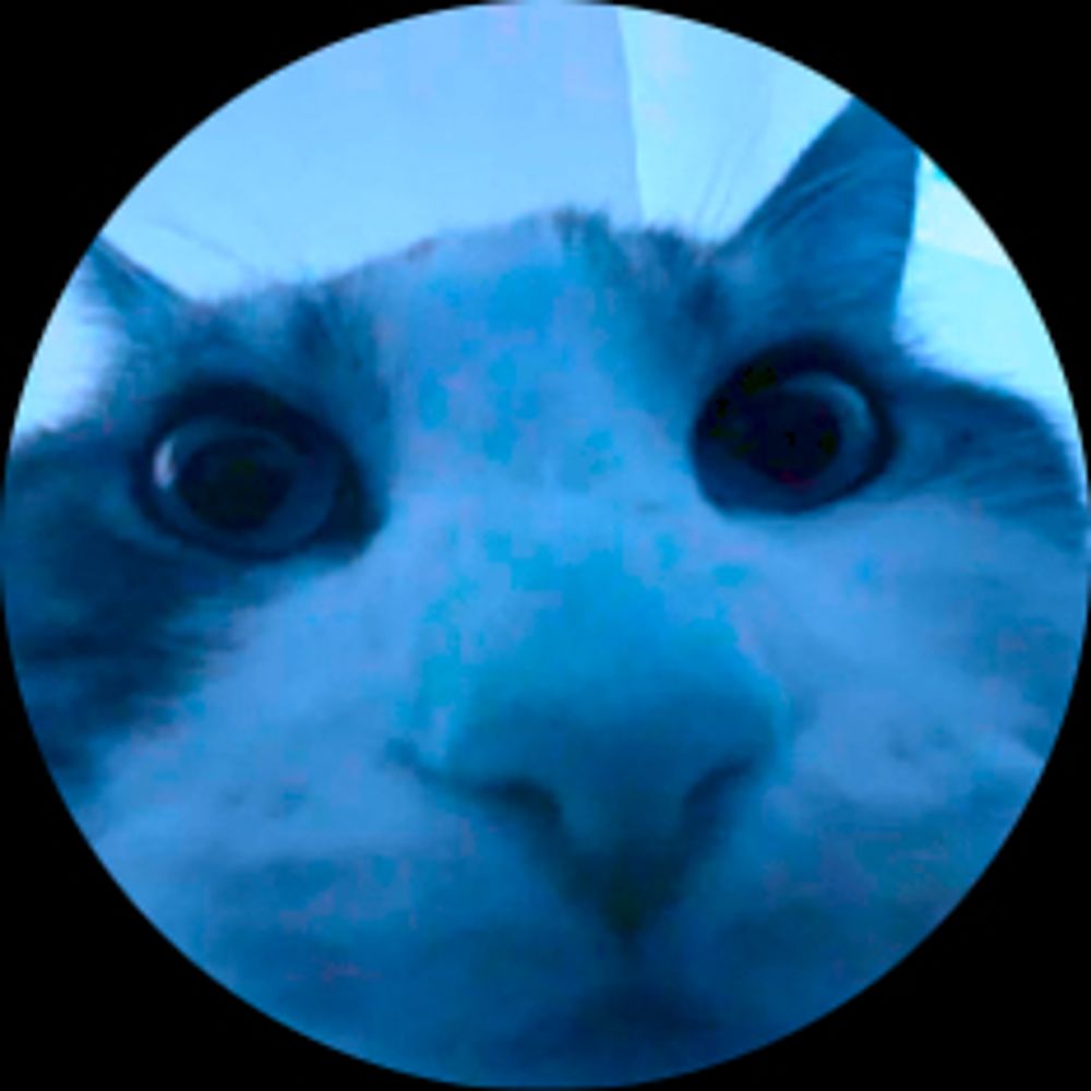 Simple Game Dev