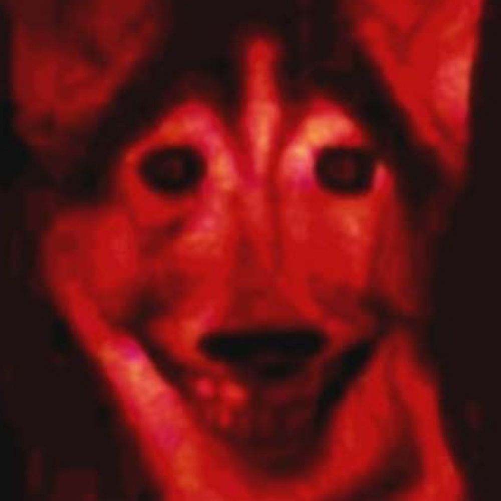 🦴