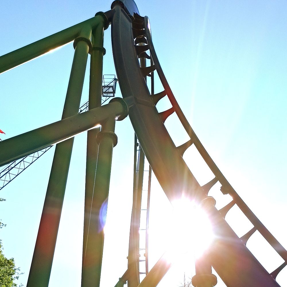 Fox on a Rollercoaster
