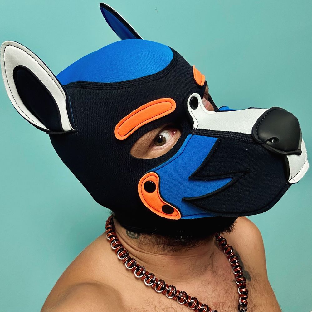 Pup Volt