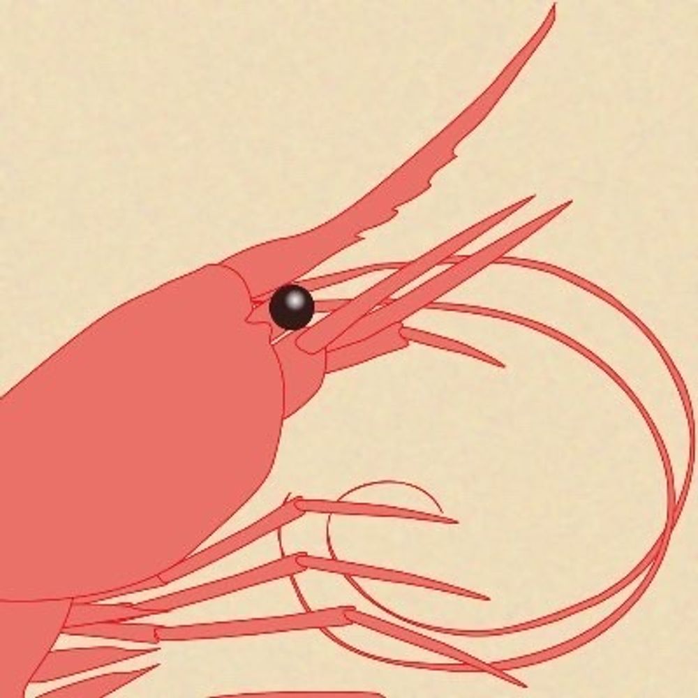 iseebi