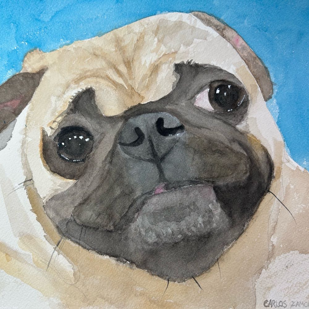 Watercolors by Carlos
