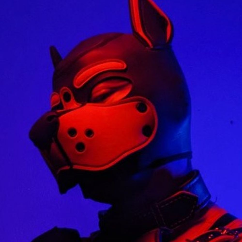 Profile picture redalphapup.bsky.social