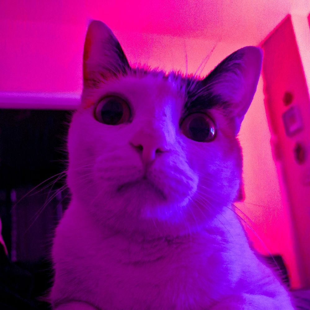  ✷