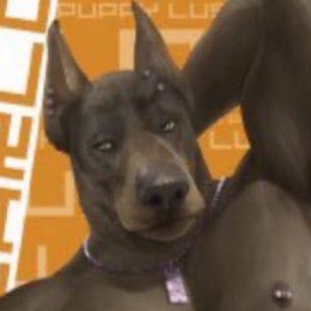 Dane