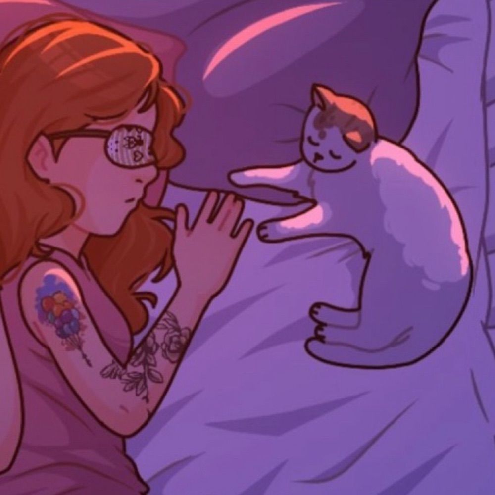 fundo de gatinho 