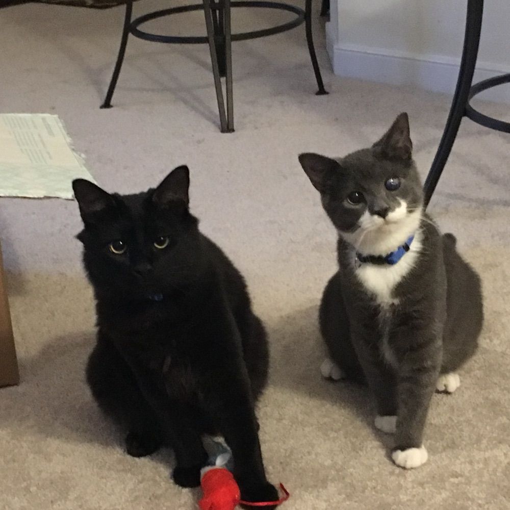 Max & Marty