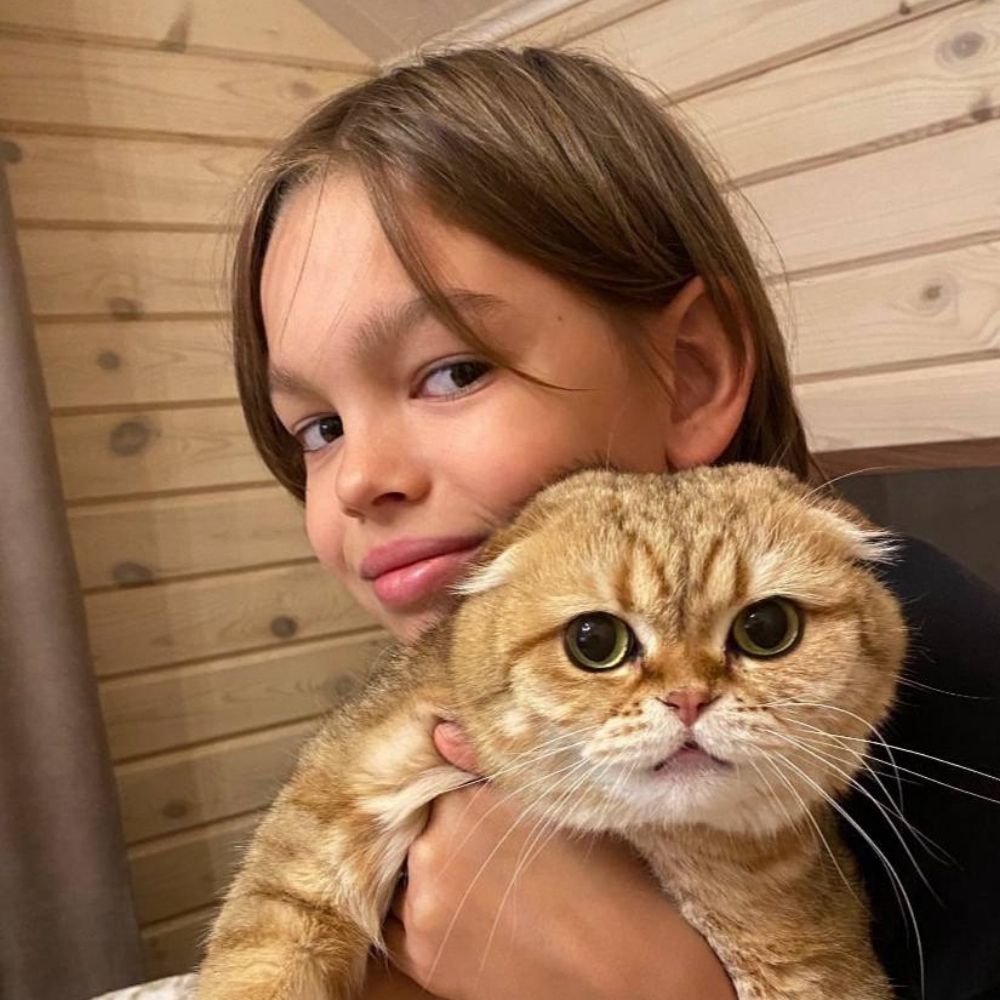 Scottishfold