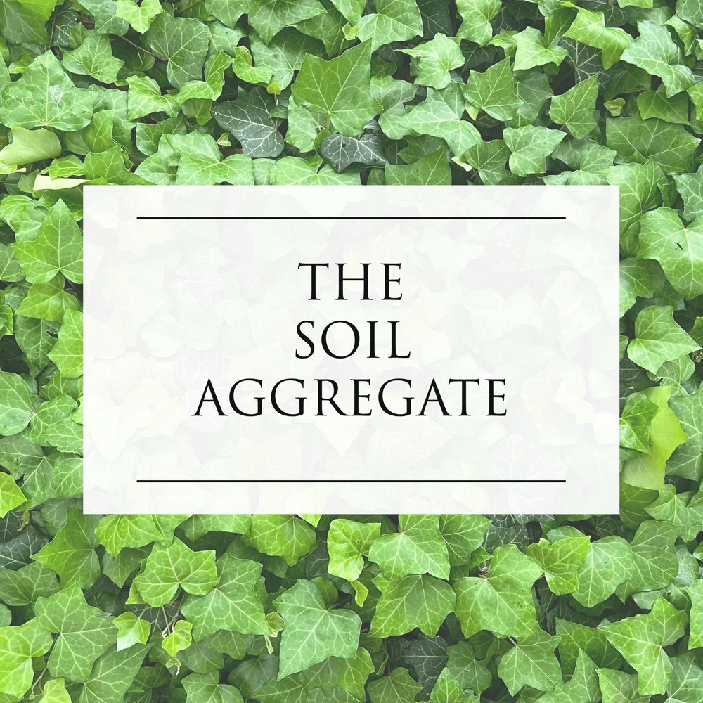The Soil Aggregate