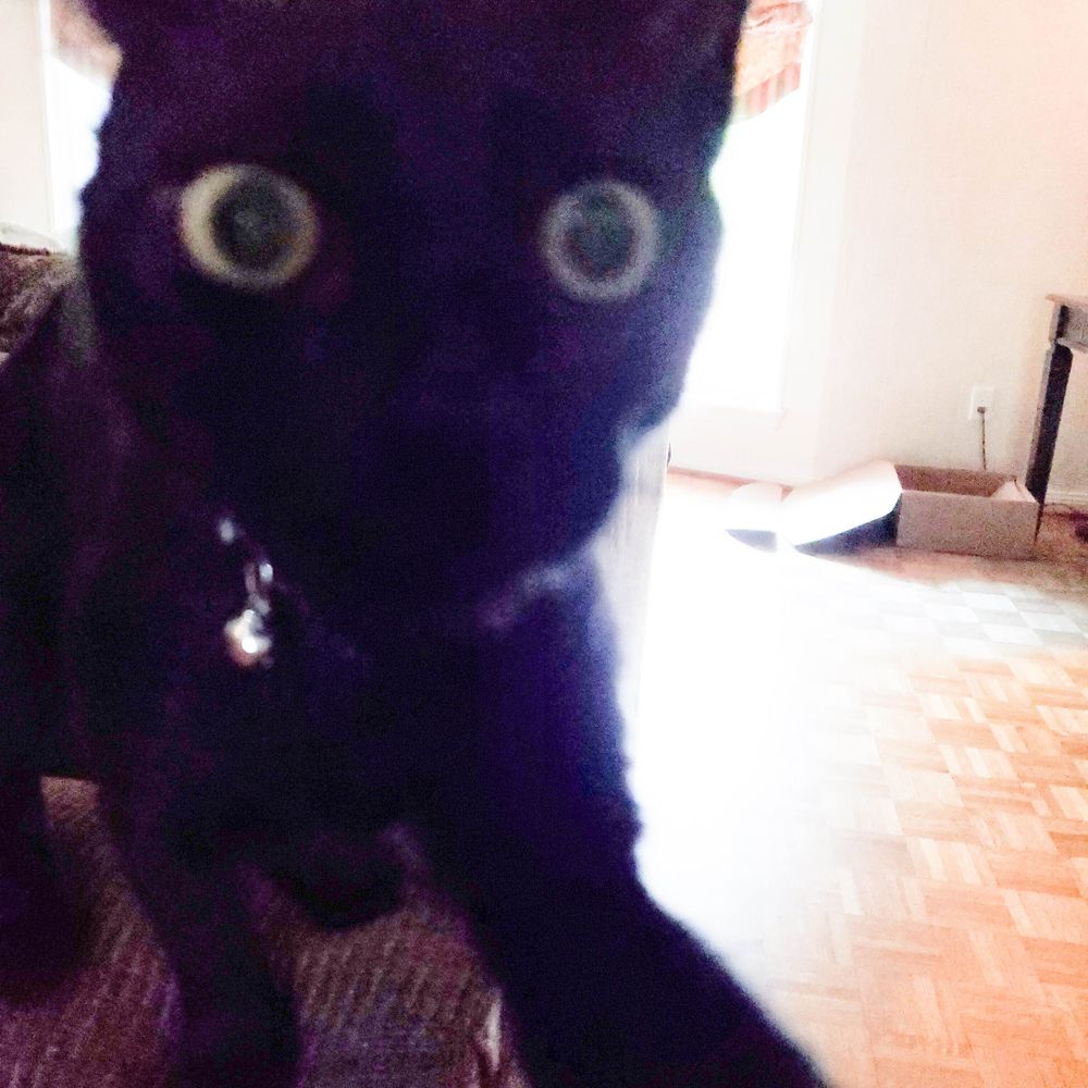 Dillon