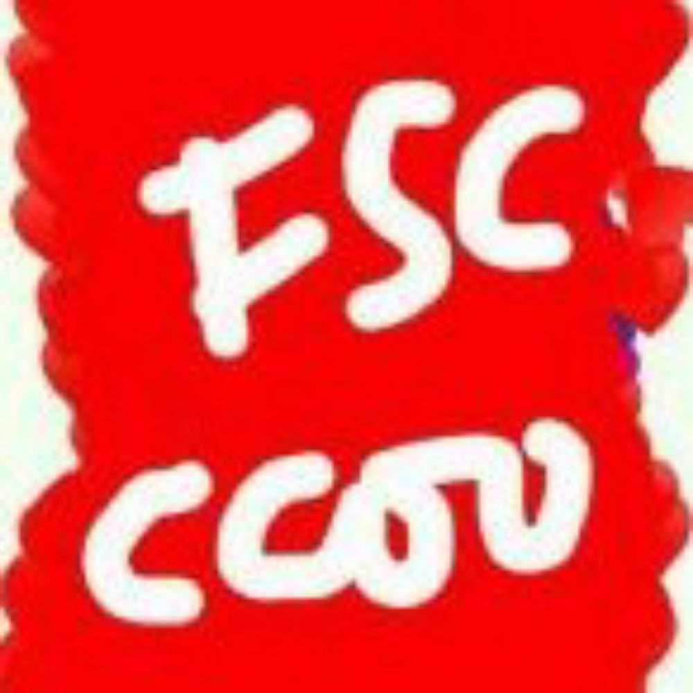 Federación de Servicios a la Ciudadanía CCOO RM