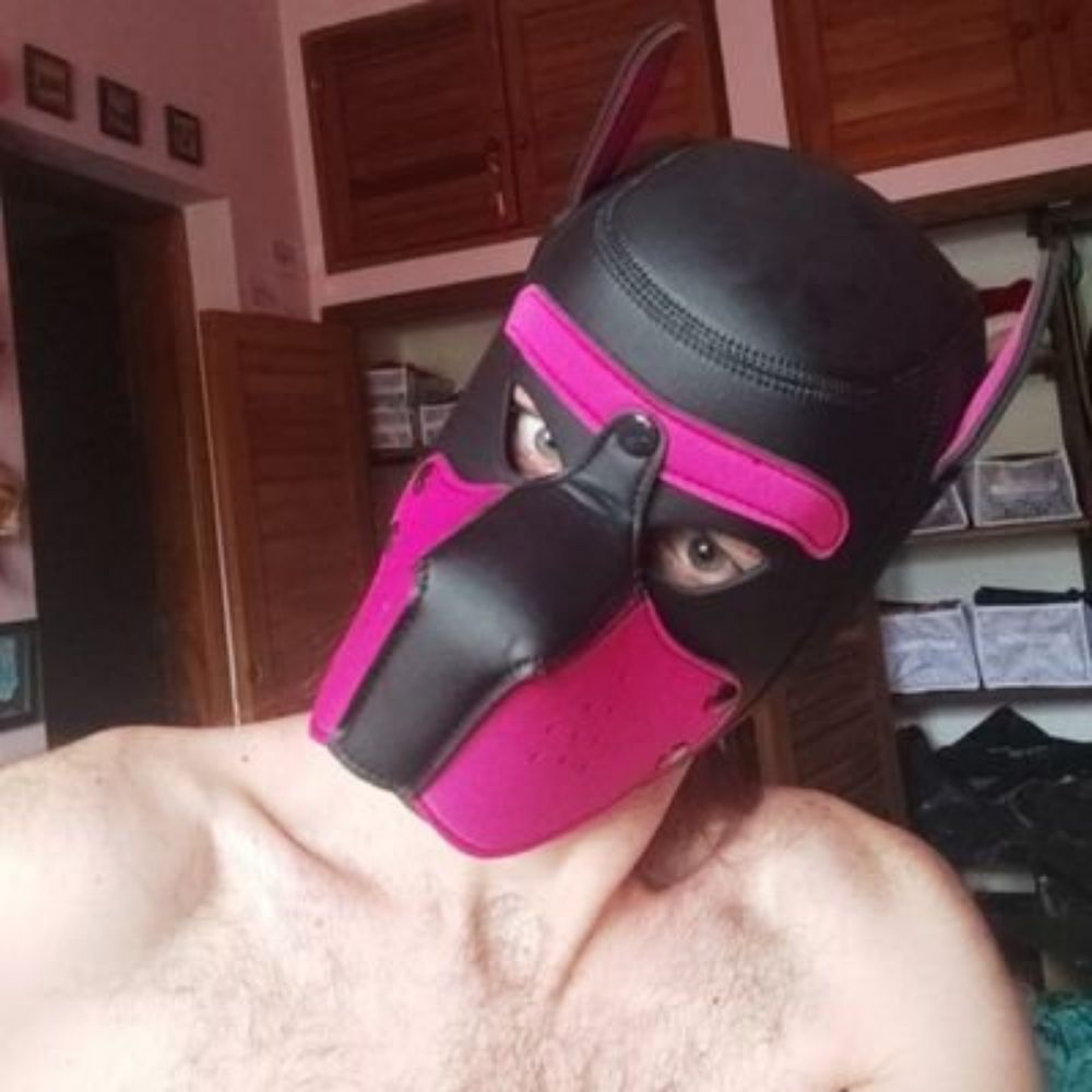Puppyfox Quartzo