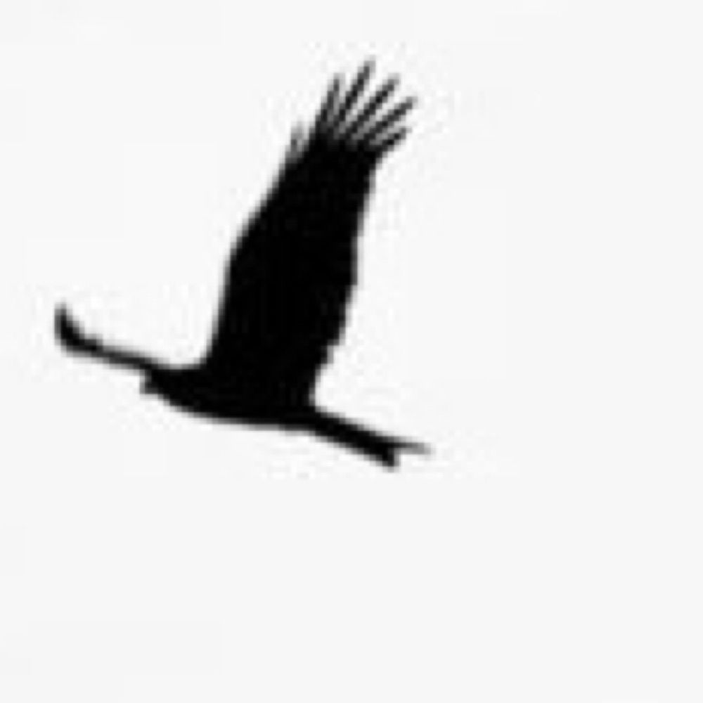 Fawkes 