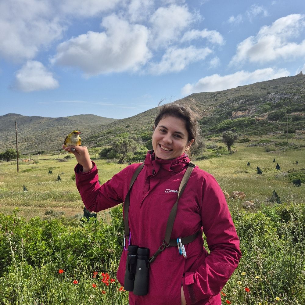 Thalie Konstantinidis