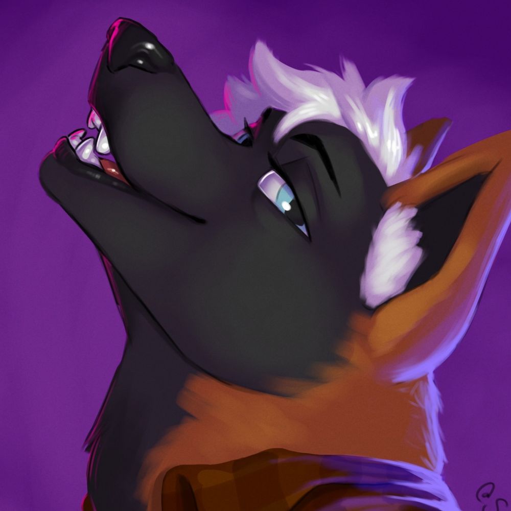 Dima Foxpaws