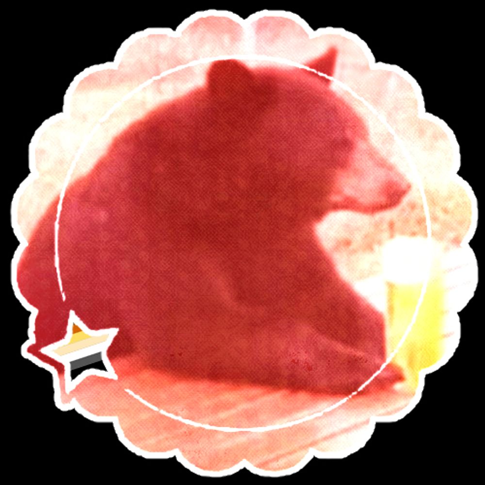 『 °*• bear cub •*°』