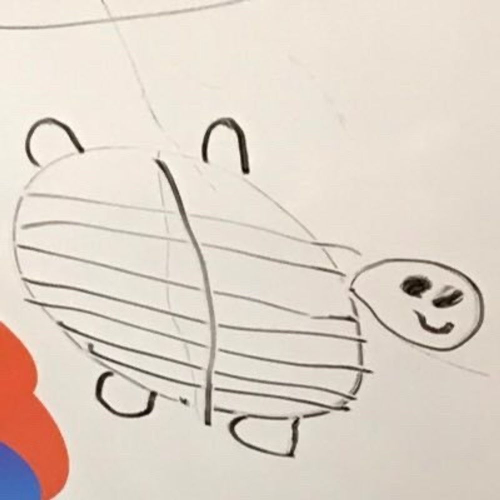 ミジンコカルピ