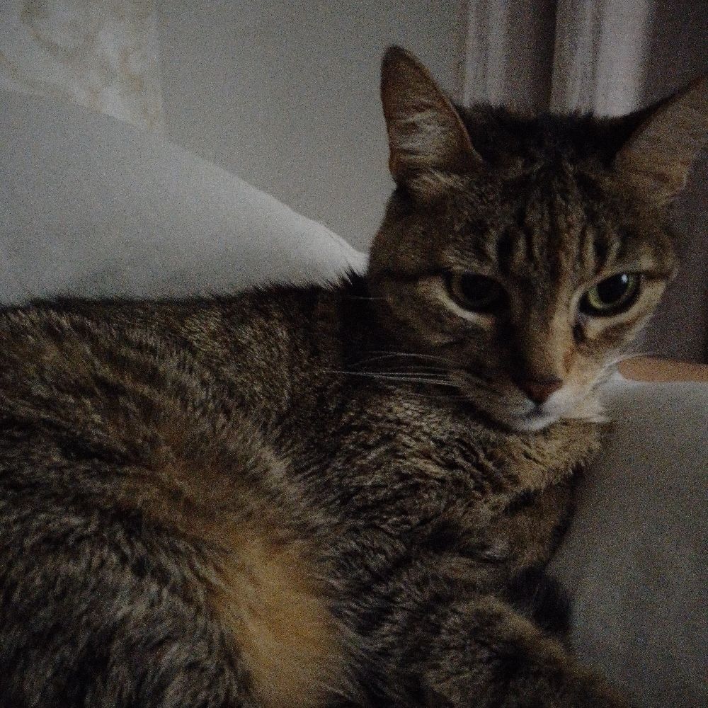 Lala