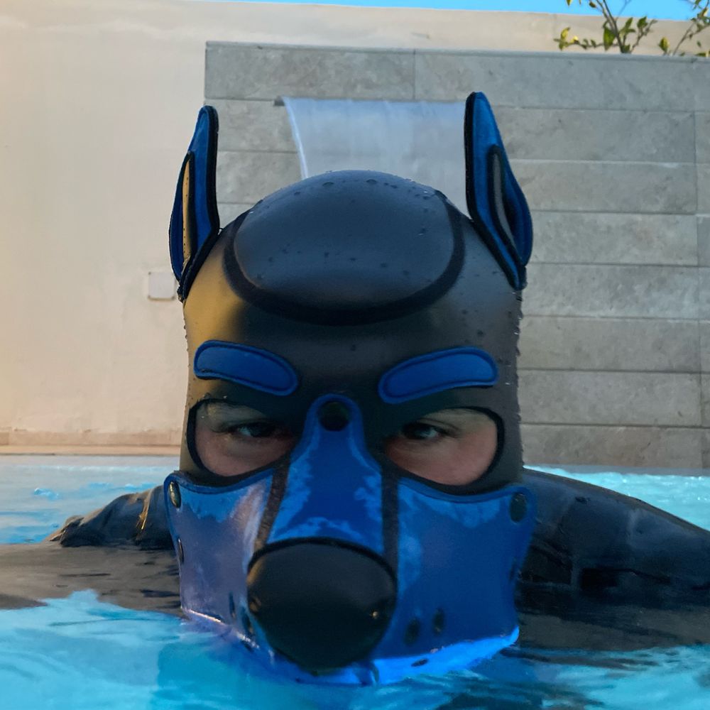 Pup Helix