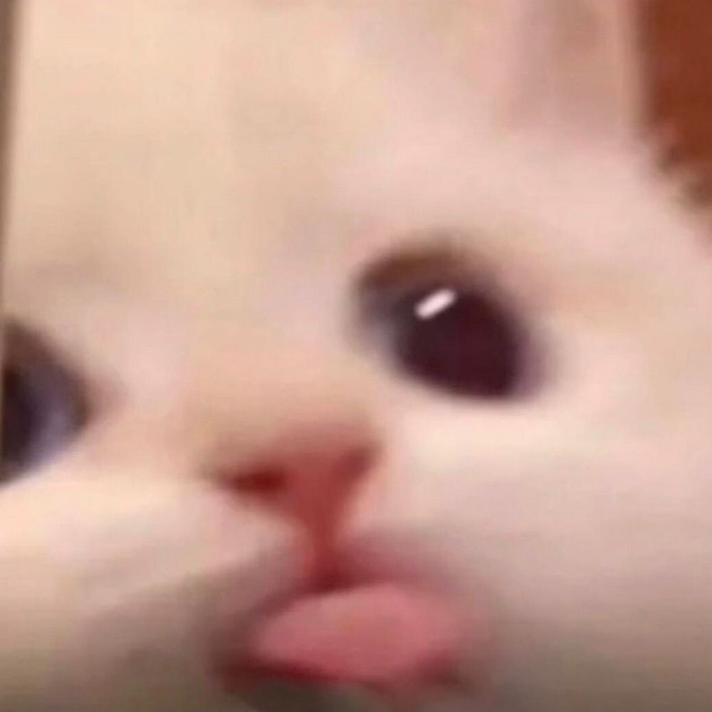 Dez