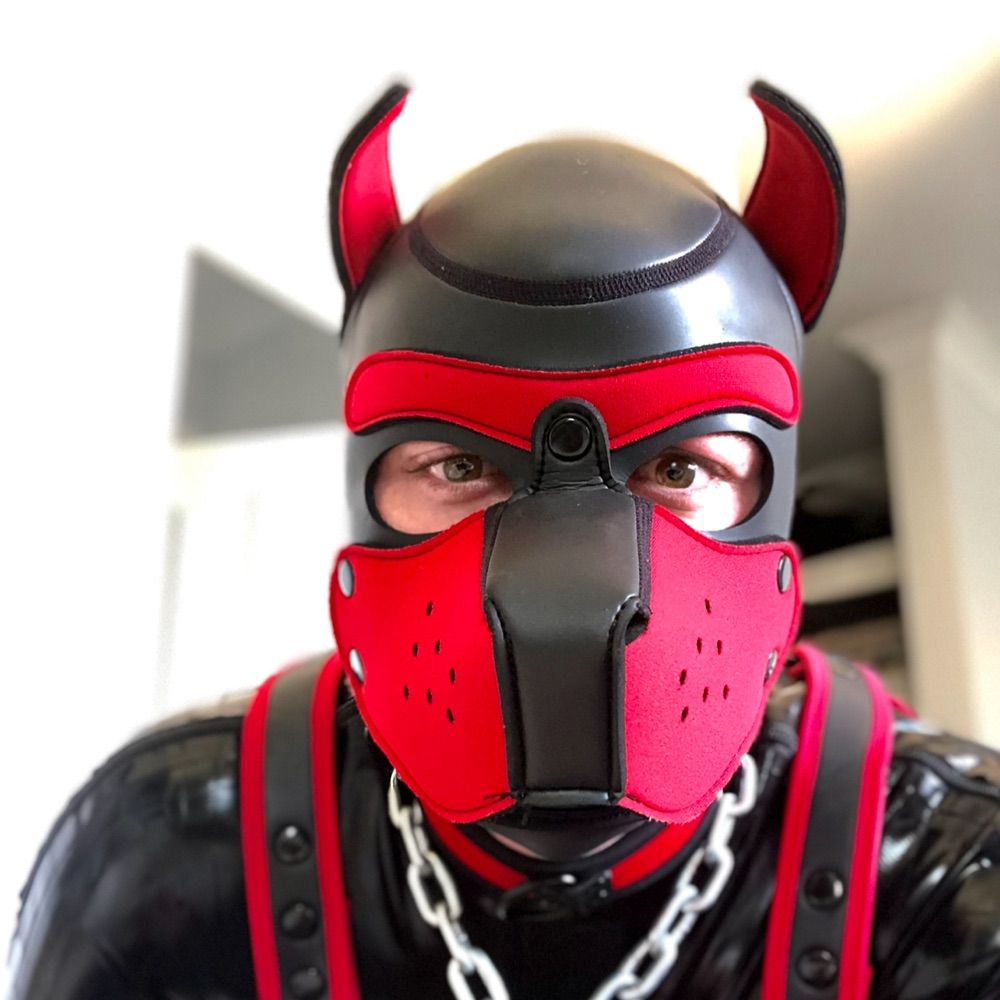 Pup Kovu