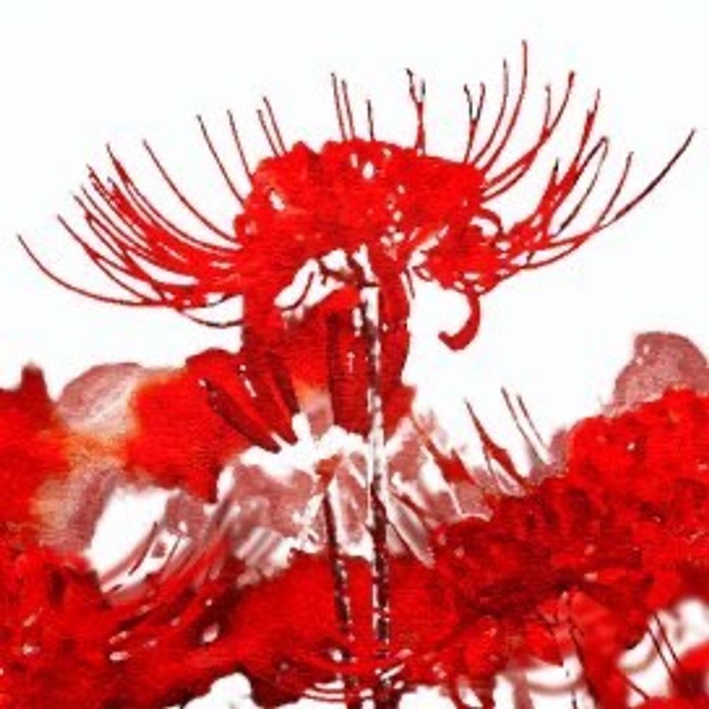 陸