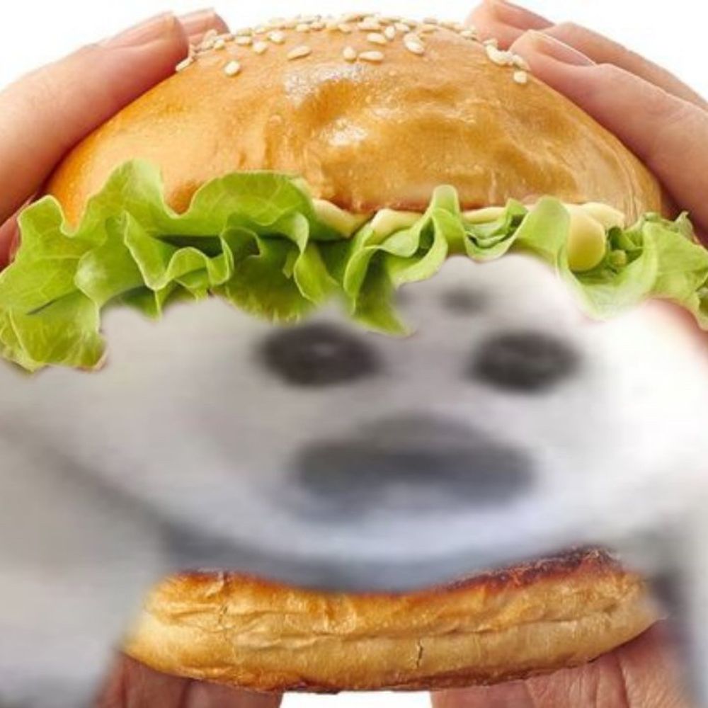 tobi 🦭 